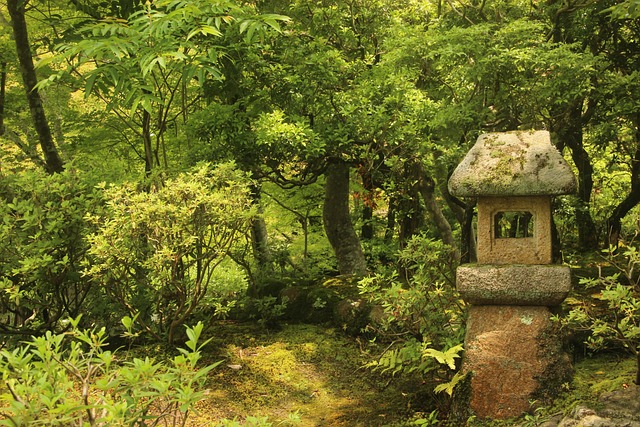 漢字「杜」の読み方と意味 | 明日の知恵